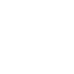 A jaguar is pictured in the image.
